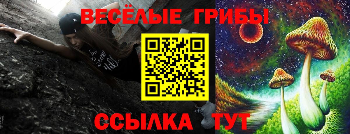 Галлюциногенные грибы MAGIC MUSHROOMS Горячий Ключ