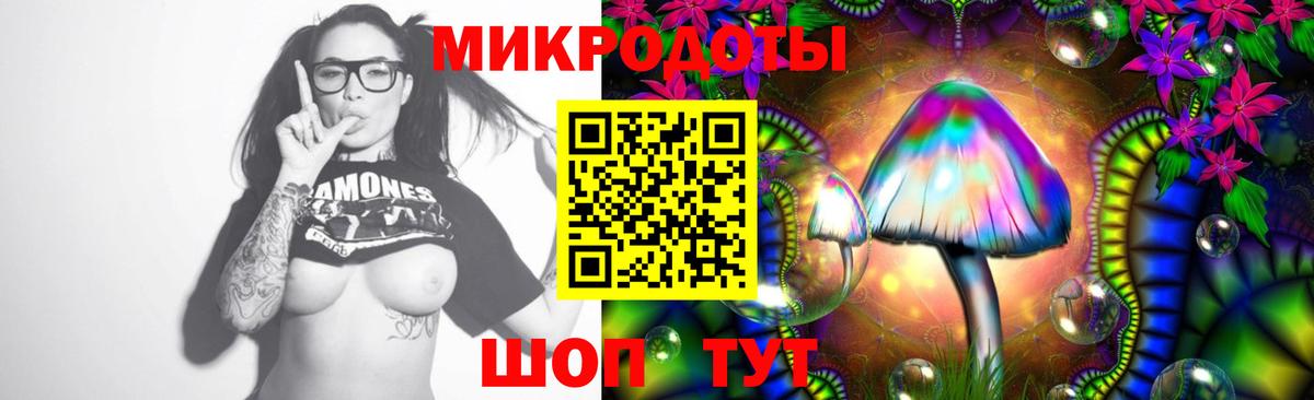 Горячий Ключ  купить наркоту  Вход с VPN  Псилоцибиновые грибы GOLDEN TEACHER 